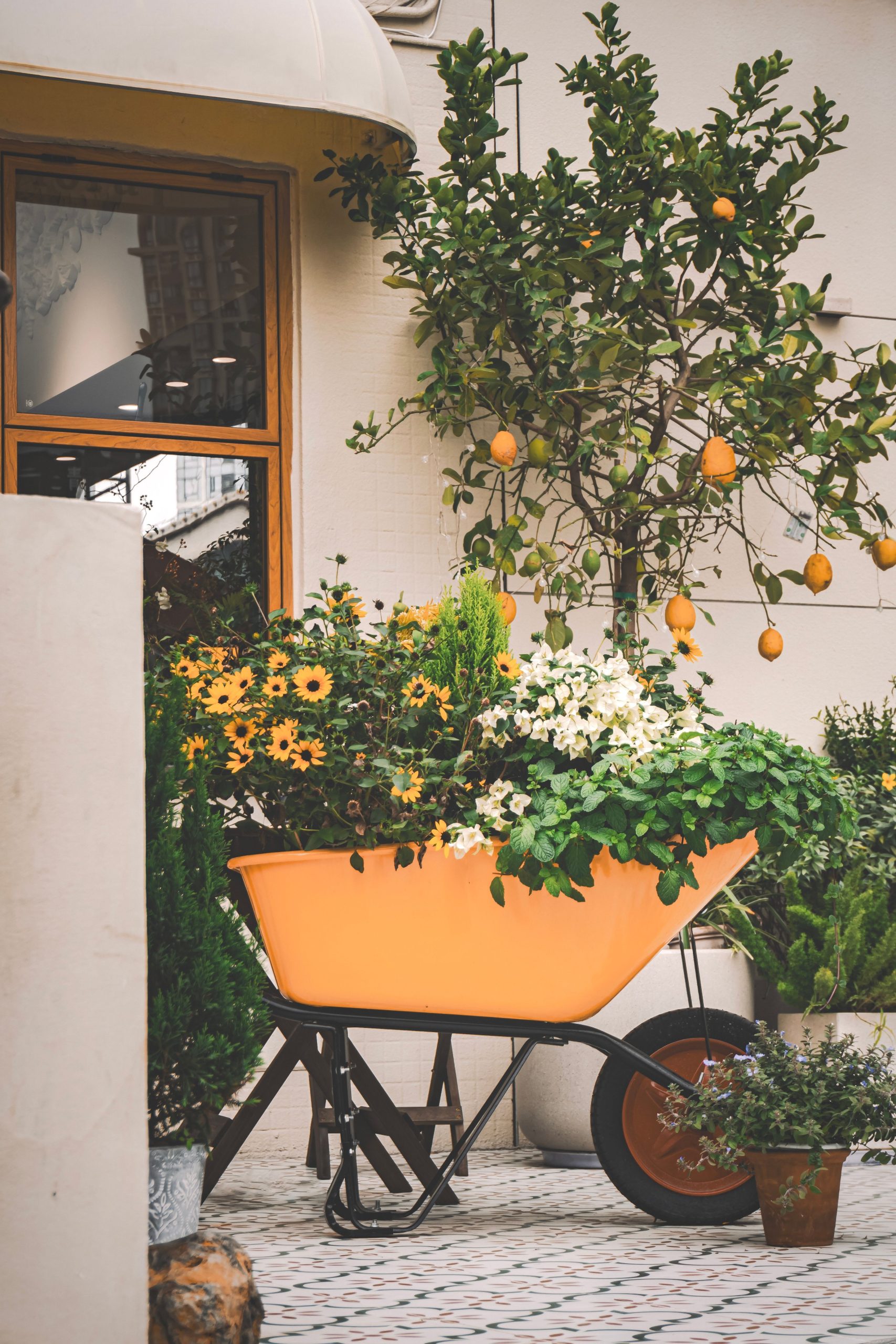 Transform Your Outdoor Space with Easy Gardening Tips